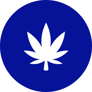 14g Flower icon